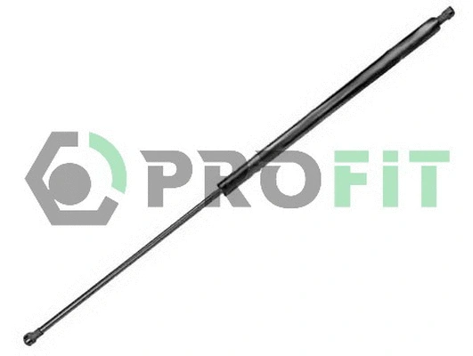 Gas Spring, boot/cargo area (2015-0055)