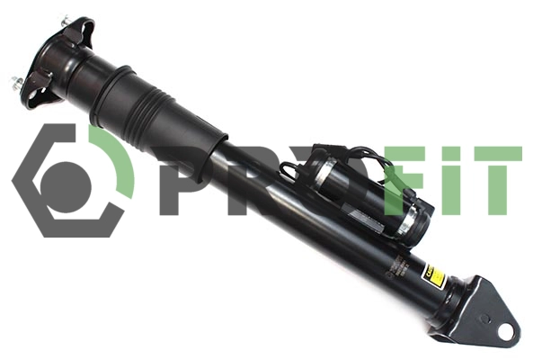 Air Suspension Strut (2007-2631)