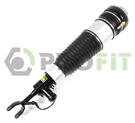 Air Suspension Strut (2007-0390)