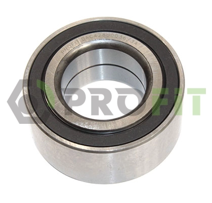 Wheel Bearing (DAC42800036/34)