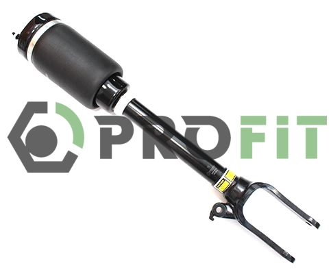 Air Suspension Strut (2007-6113)