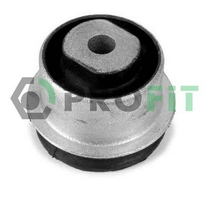 Bushing, axle beam (2307-0477)