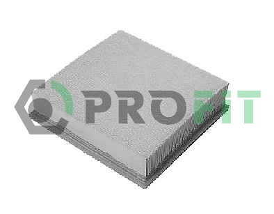 Air Filter (1512-2842)