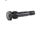 Ignition Coil (1810-9020C)