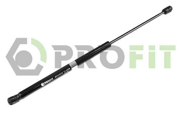 Gas Spring, boot/cargo area (2015-0318)