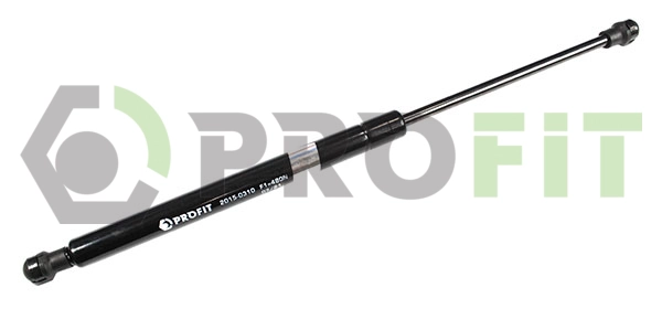 Gas Spring, boot/cargo area (2015-0310)