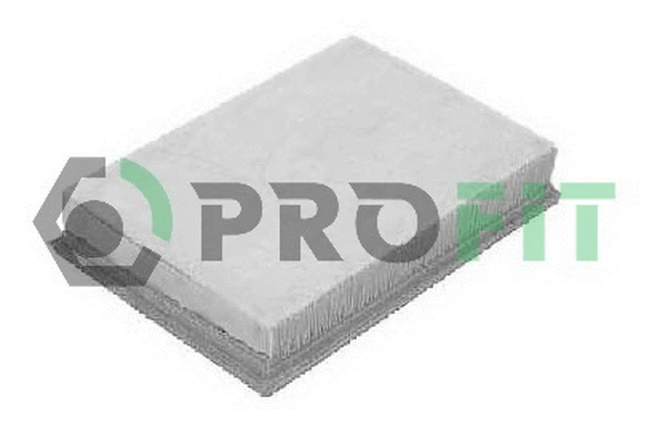 Air Filter (1512-1019)