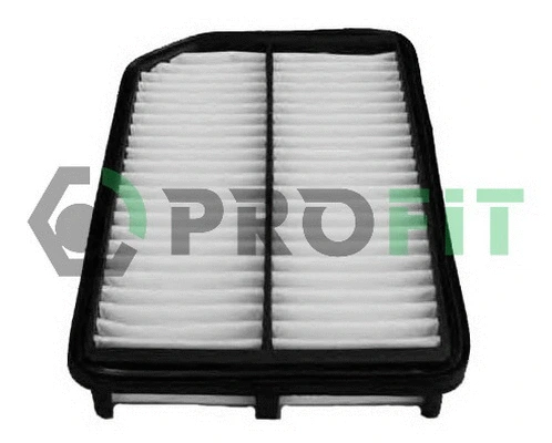 Air Filter (1512-2641)