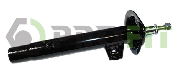 Shock Absorber (2004-1317)