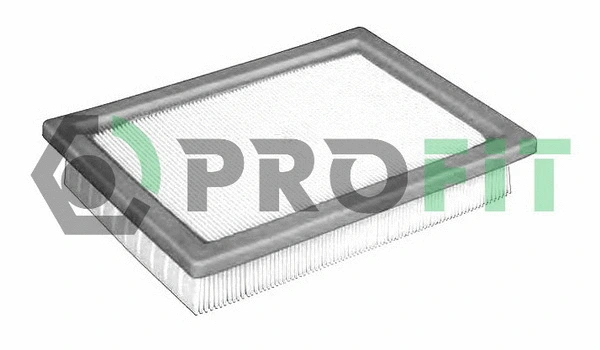 Air Filter (1511-0303)