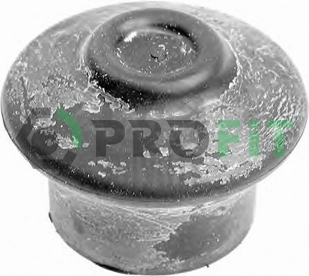 Bushing, axle beam (1015-0198)
