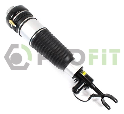 Air Suspension Strut (2007-0391)