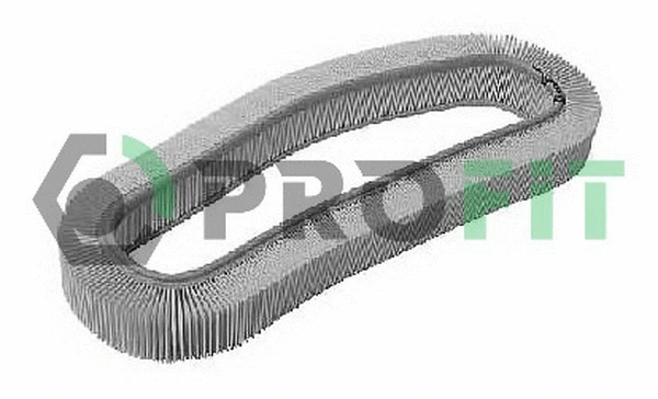 Air Filter (1512-0613)