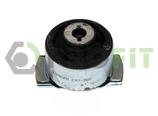 Bushing, axle beam (2307-0980)