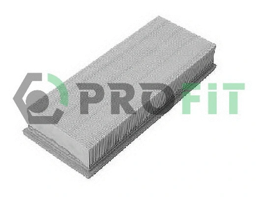 Air Filter (1512-1013)