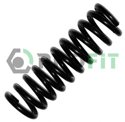 Suspension Spring (2010-0110)