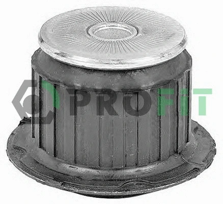 Bushing, axle beam (2307-0360)