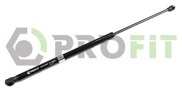 Gas Spring, boot/cargo area (2015-0223)