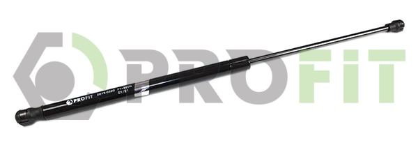 Gas Spring, boot/cargo area (2015-0320)