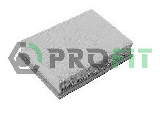 Air Filter (1512-0405)