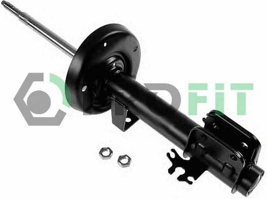 Shock Absorber (2004-1066)