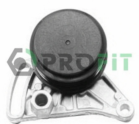 Tensioner Pulley, V-ribbed belt (1014-0309)