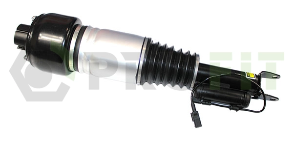 Air Suspension Strut (2007-5514)