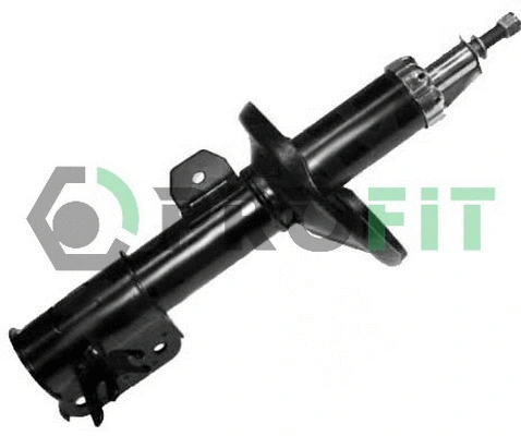 Shock Absorber (2004-1197)