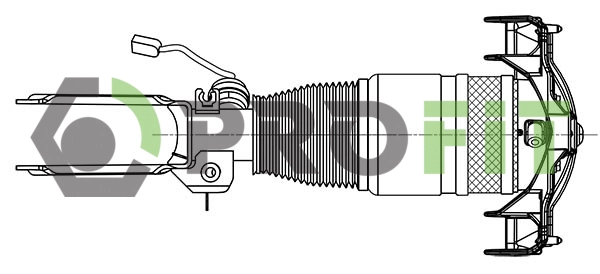 Air Suspension Strut (2007-0181)