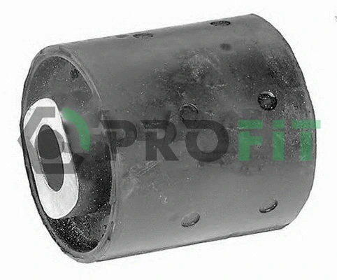 Bushing, axle beam (2307-0165)