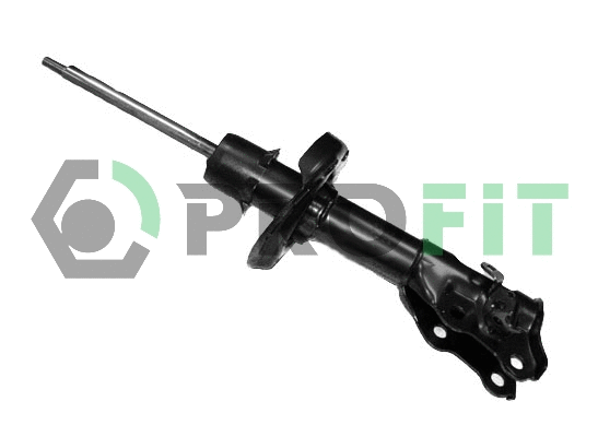 Shock Absorber (2004-1255)