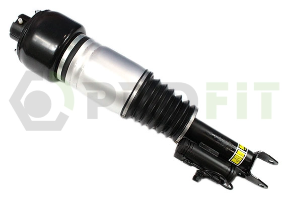 Air Suspension Strut (2007-5513)