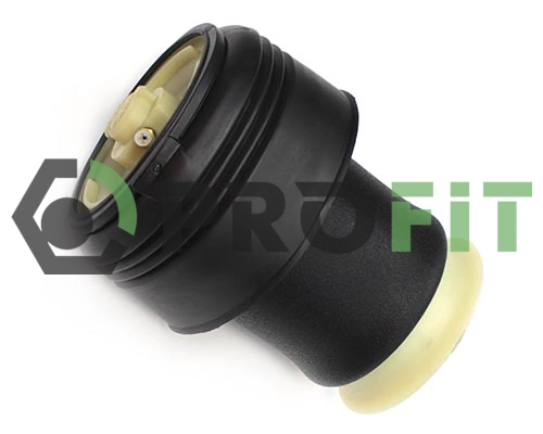 Air Suspension Strut (2007-5079)