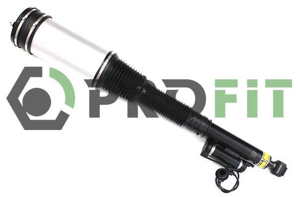 Air Suspension Strut (2007-2338)