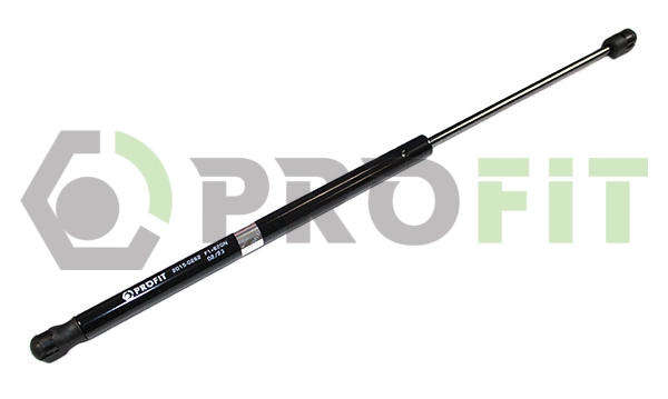 Gas Spring, boot/cargo area (2015-0262)