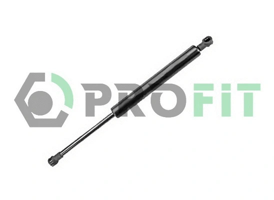 Gas Spring, boot/cargo area (2015-0148)