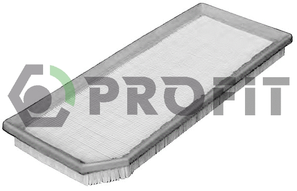 Air Filter (1512-4013)