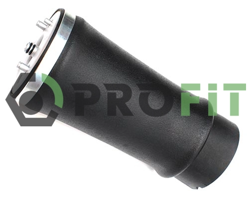 Air Suspension Strut (2007-5356)