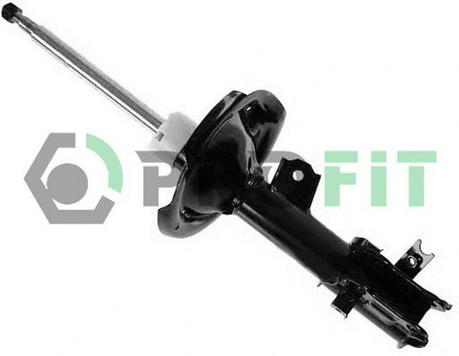 Shock Absorber (2004-1205)