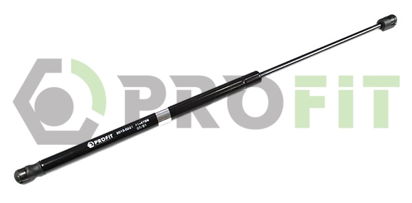 Gas Spring, boot/cargo area (2015-0221)