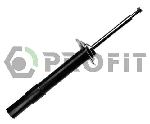 Shock Absorber (2004-1165)