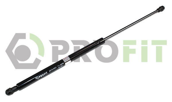 Gas Spring, boot/cargo area (2015-0321)