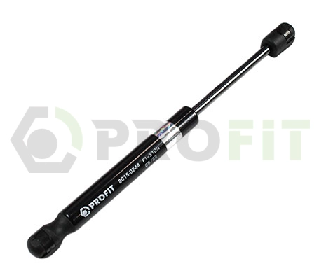 Gas Spring, boot/cargo area (2015-0244)