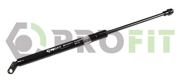 Gas Spring, boot/cargo area (2015-0311)