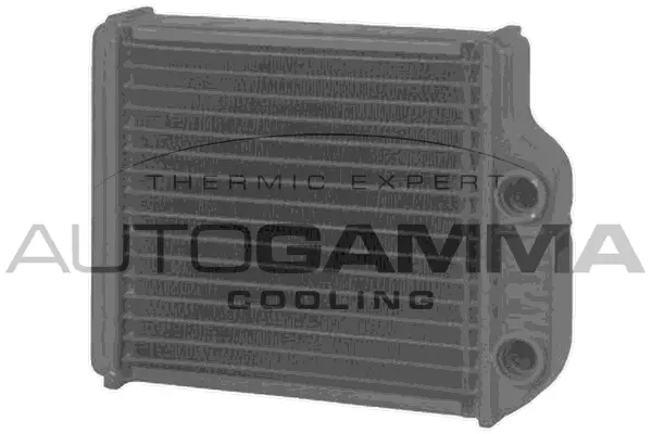 Heat Exchanger, interior heating (104891)