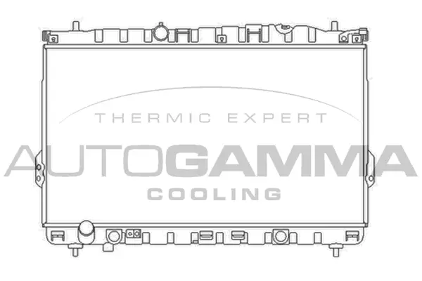 Radiator, engine cooling (103362)