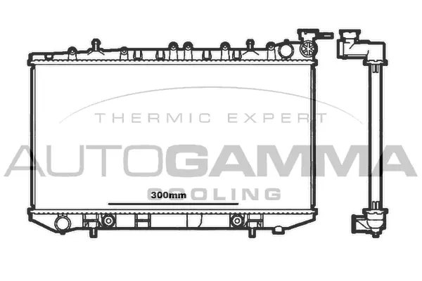 Radiator, engine cooling (100632)