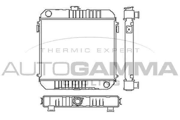 Radiator, engine cooling (100659)
