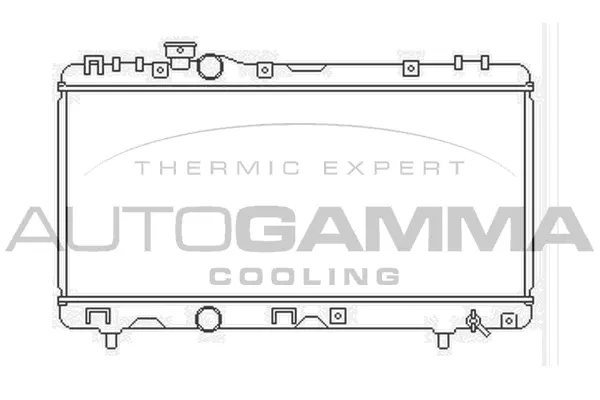 Radiator, engine cooling (104162)