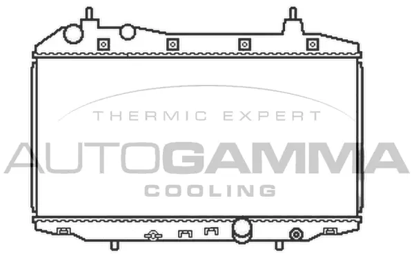 Radiator, engine cooling (105106)